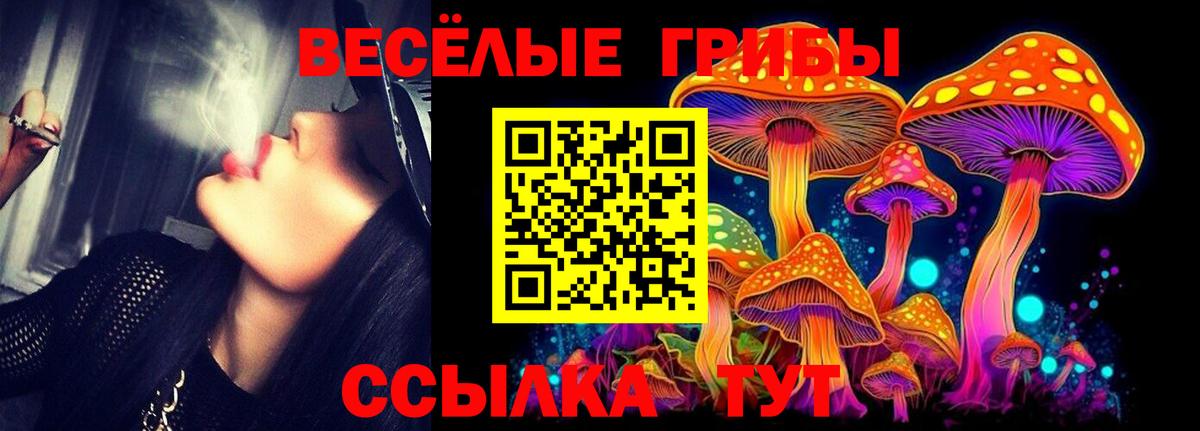 Псилоцибиновые грибы GOLDEN TEACHER  Вход с VPN  Галлюциногенные грибы MAGIC MUSHROOMS  Трёхгорный 